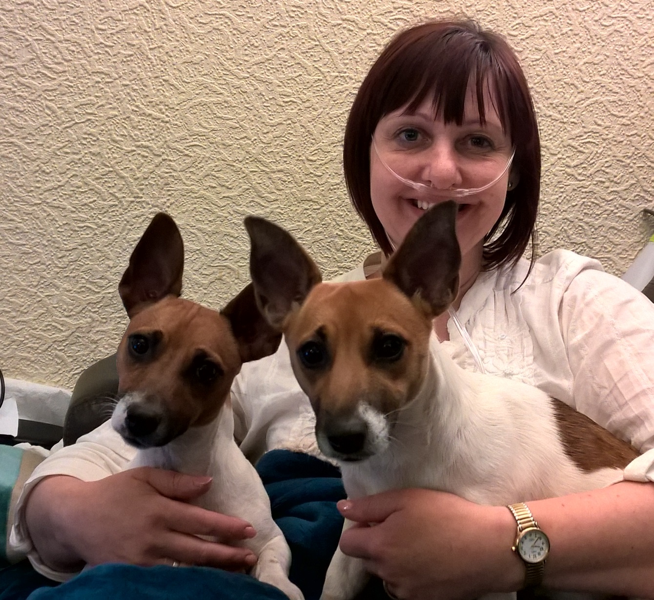 Wendy Fox with her two Jack Russells