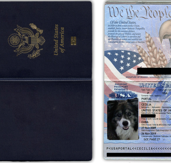 Jenny's Passport - My travel companion