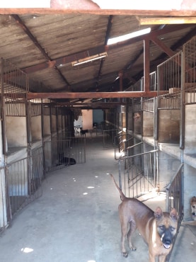 The part of the shelter that needs repairs as soon as possible